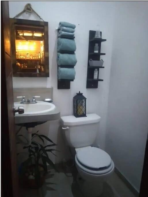 Cozy Townhouse & Terrace/Pool Daire La Ceiba Dış mekan fotoğraf