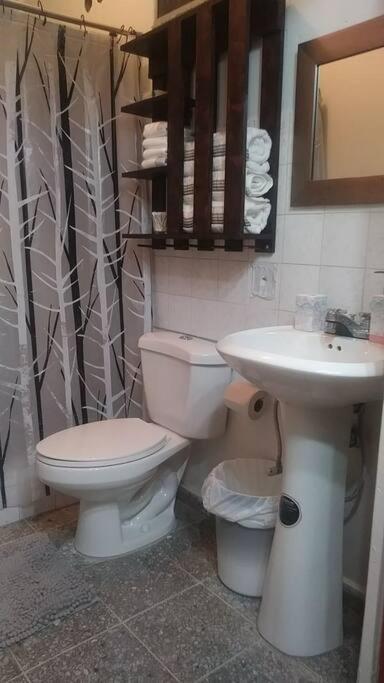 Cozy Townhouse & Terrace/Pool Daire La Ceiba Dış mekan fotoğraf