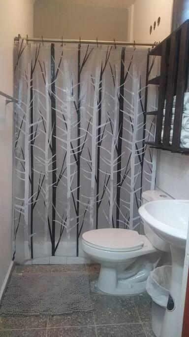 Cozy Townhouse & Terrace/Pool Daire La Ceiba Dış mekan fotoğraf